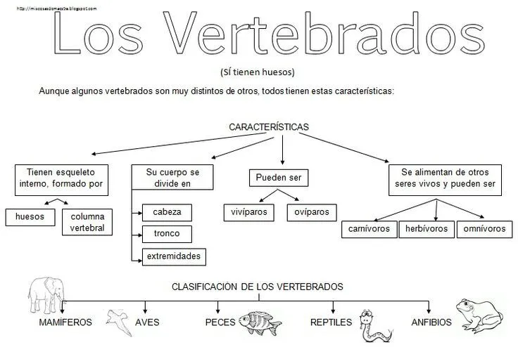 MIS COSAS DE MAESTRA*: Animales Vertebrados: Esquemas | CIENCIAS ... MIS COSAS DE MAESTRA*: Animales Vertebrados: Esquemas | CIENCIAS ...