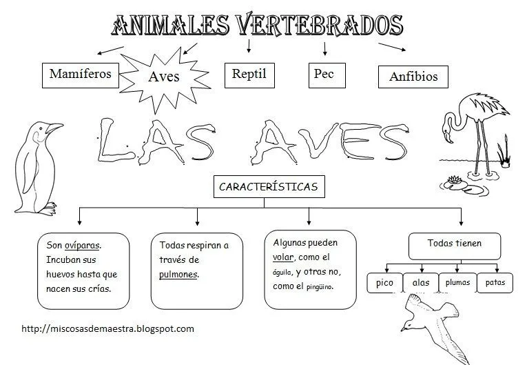MIS COSAS DE MAESTRA*: Animales Vertebrados: Esquemas | Natural ... MIS COSAS DE MAESTRA*: Animales Vertebrados: Esquemas | Natural ...