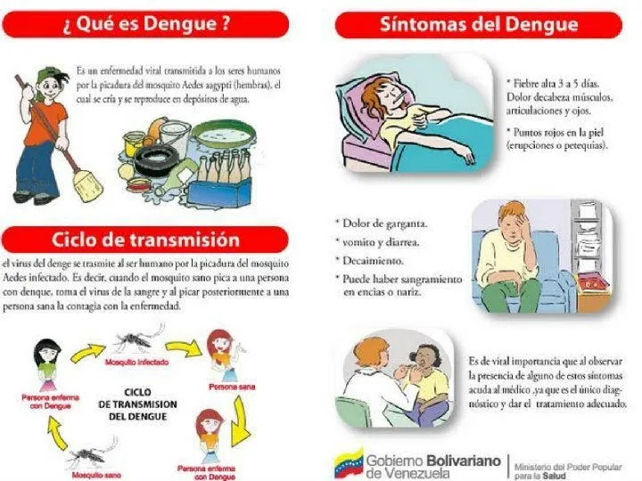 Maestra Asunción: ACTIVIDADES PARA EVITAR EL DENGUE. Maestra Asunción: ACTIVIDADES PARA EVITAR EL DENGUE.