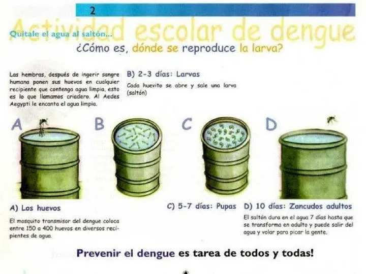 Maestra Asunción: ACTIVIDADES PARA EVITAR EL DENGUE. Maestra Asunción: ACTIVIDADES PARA EVITAR EL DENGUE.