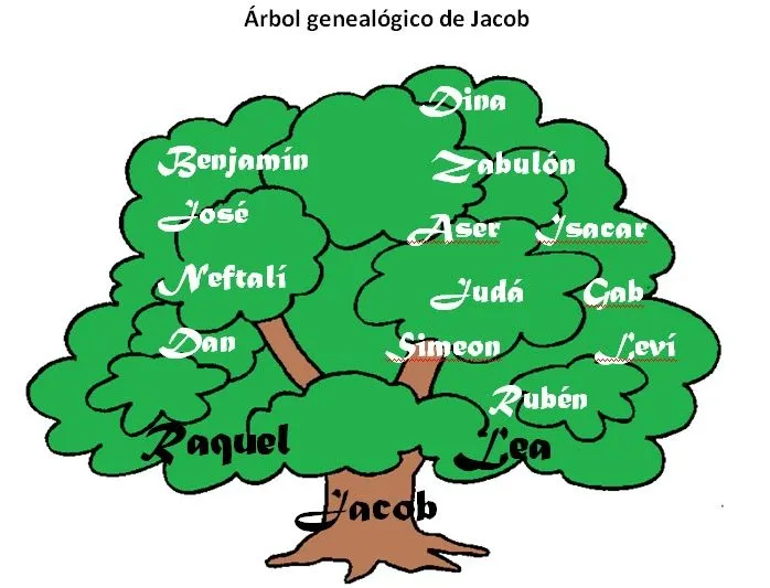 Maestra Dominical♥: Árbol genealógico para ubicarnos un poco 2 Maestra Dominical♥: Árbol genealógico para ubicarnos un poco 2