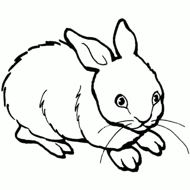 Maestra de Infantil: Animales domésticos para colorear Maestra de Infantil: Animales domésticos para colorear
