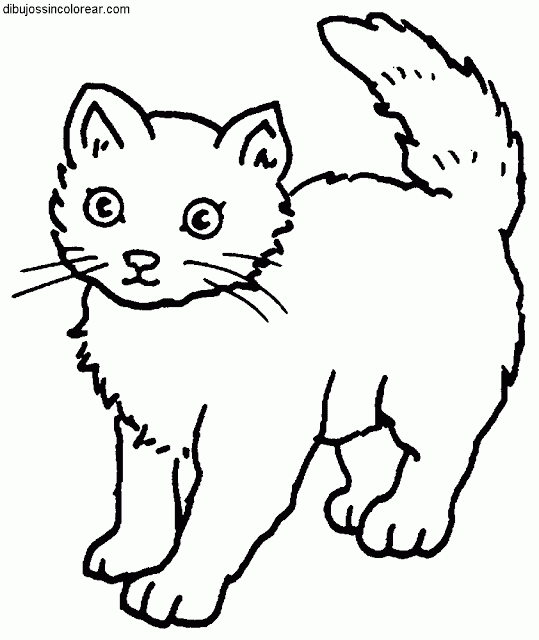 Maestra de Infantil: Animales domésticos para colorear Maestra de Infantil: Animales domésticos para colorear