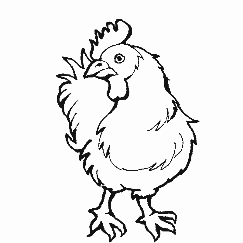 Maestra de Infantil: Animales domésticos para colorear Maestra de Infantil: Animales domésticos para colorear
