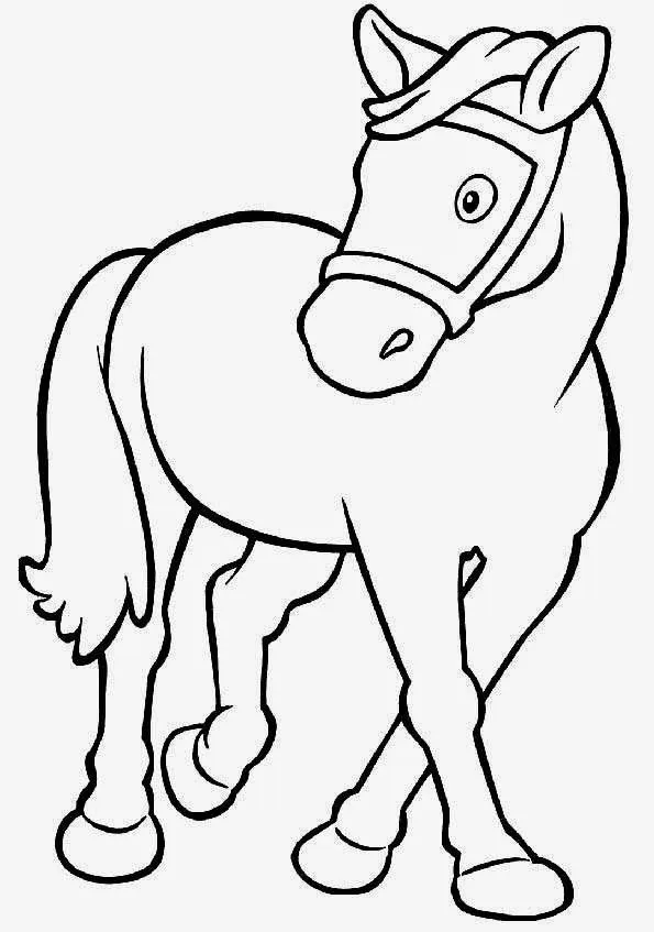 Maestra de Infantil: Animales domésticos para colorear Maestra de Infantil: Animales domésticos para colorear
