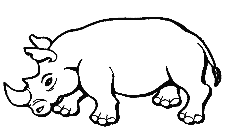 Maestra de Infantil: Animales salvajes para colorear Maestra de Infantil: Animales salvajes para colorear