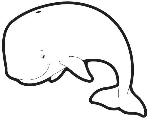 DELFINES Y BALLENAS PARA PINTAR