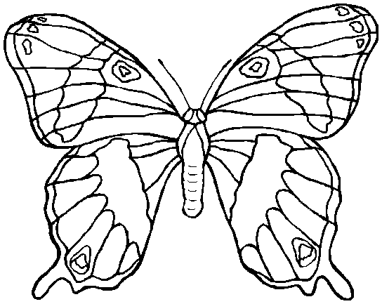 Maestra de Infantil: Dibujos para colorear de la primavera Maestra de Infantil: Dibujos para colorear de la primavera