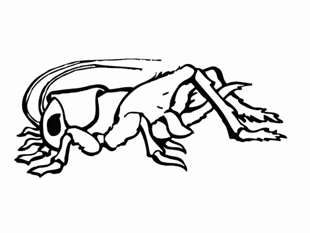 Maestra de Infantil: Dibujos para colorear de la primavera Maestra de Infantil: Dibujos para colorear de la primavera
