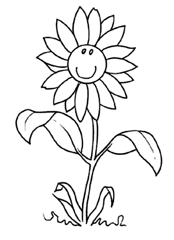 Dibujos de las plantas y sus partes para colorear - Imagui Dibujos de las plantas y sus partes para colorear - Imagui