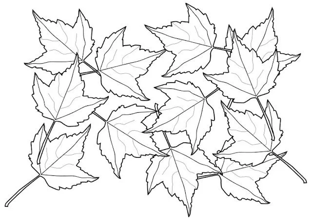 Maestra de Infantil: Hojas de otoño para colorear. Maestra de Infantil: Hojas de otoño para colorear.