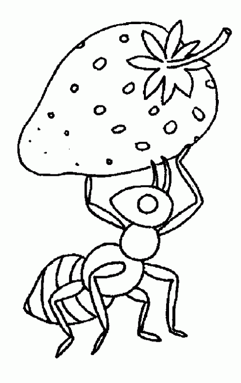Maestra de Infantil: Las hormigas y los osos hormigueros.Dibujos ... Maestra de Infantil: Las hormigas y los osos hormigueros.Dibujos ...