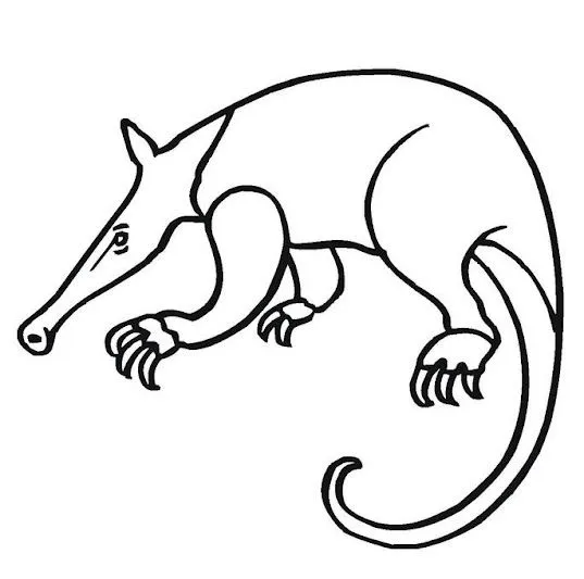Maestra de Infantil: Las hormigas y los osos hormigueros.Dibujos ...