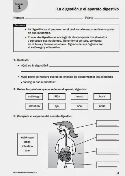 MIS COSAS DE MAESTRA*: La nutrición I: APARATO DIGESTIVO Y LA ...