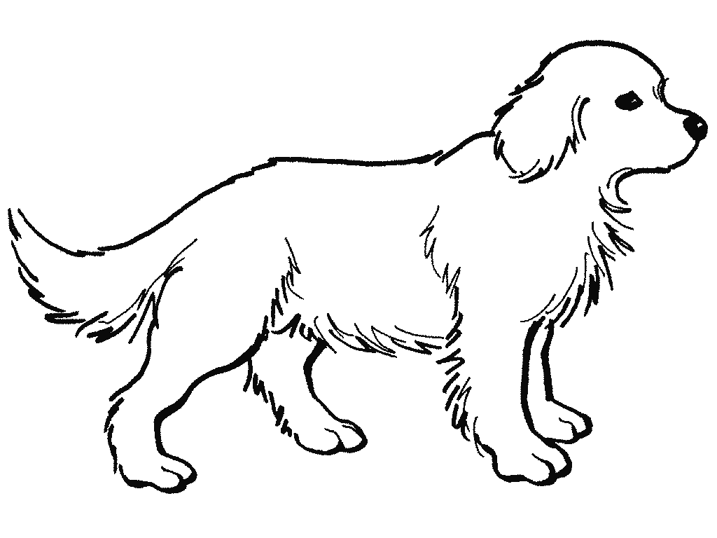 Dibujos de animales domesticos para imprimir - Imagui Dibujos de animales domesticos para imprimir - Imagui