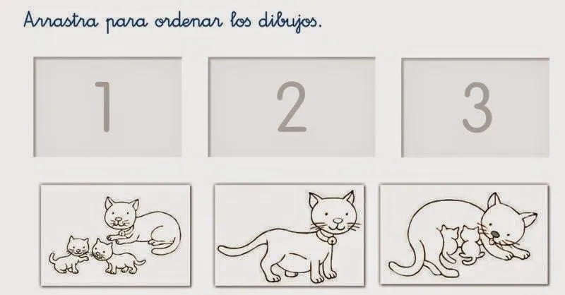 Maestra de Primaria: Los animales. 1º de Primaria. Maestra de Primaria: Los animales. 1º de Primaria.