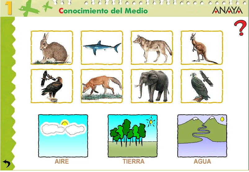 Maestra de Primaria: Los animales