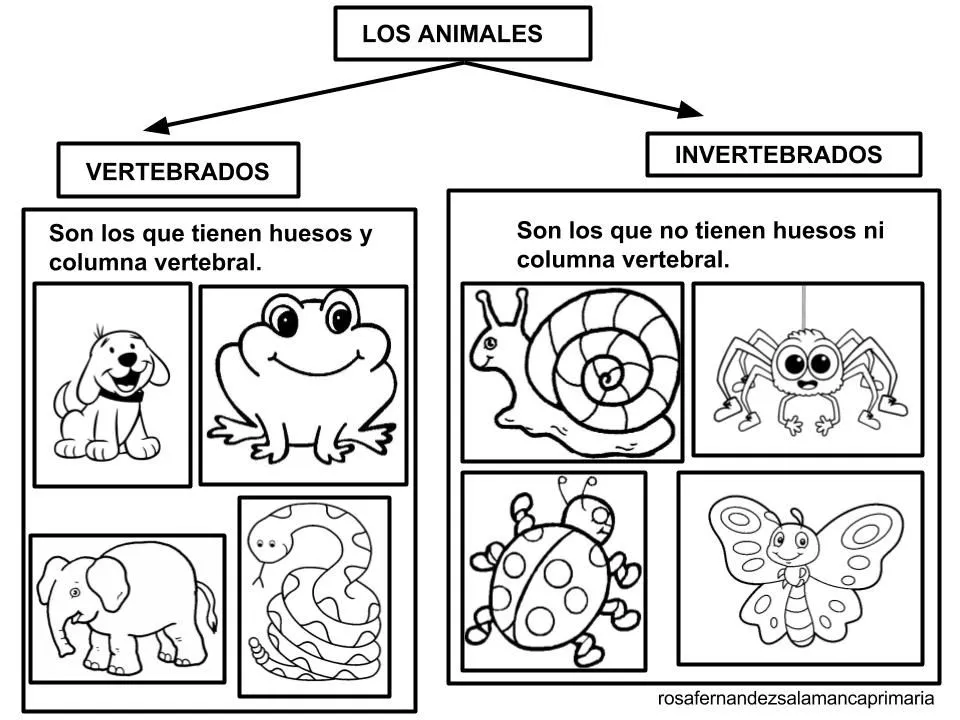 Maestra de Primaria: Animales vertebrados e invertebrados. Clasificación y características. Vídeo canción. Maestra de Primaria: Animales vertebrados e invertebrados. Clasificación y características. Vídeo canción.