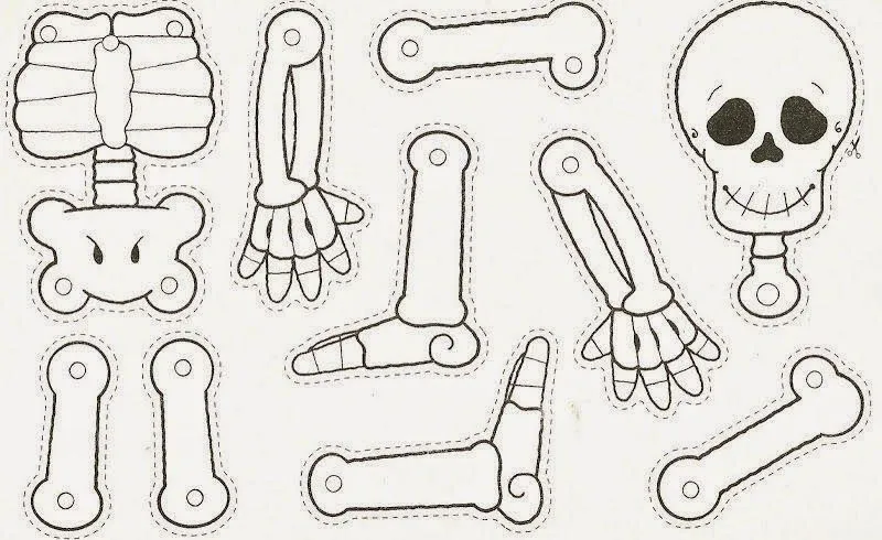 Maestra de Primaria: El cuerpo humano. Esqueletos para montar. Maestra de Primaria: El cuerpo humano. Esqueletos para montar.