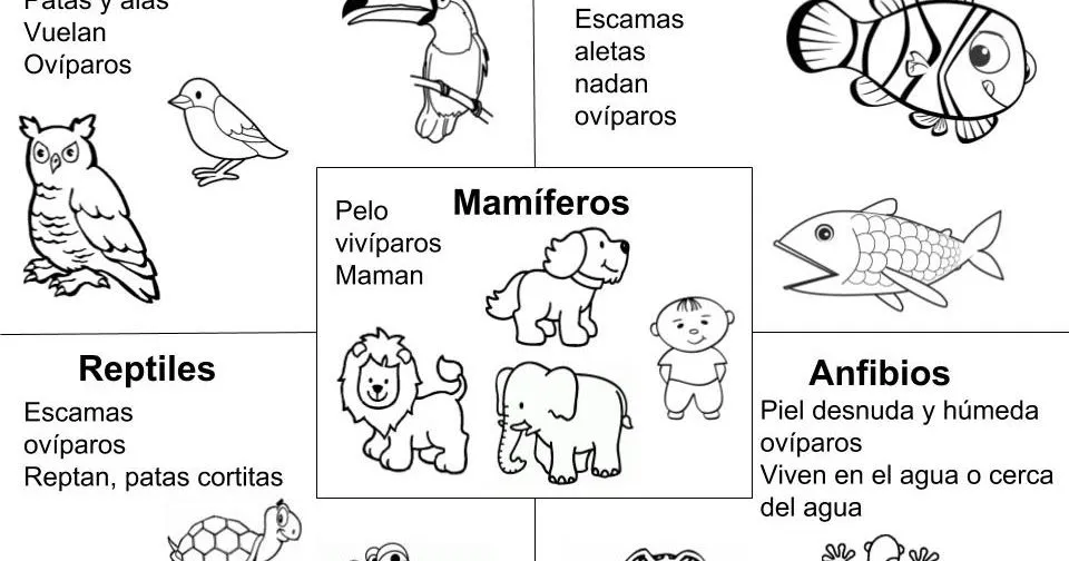 Maestra de Primaria: Ficha para colorear los 5 grupos de animales vertebrados Maestra de Primaria: Ficha para colorear los 5 grupos de animales vertebrados