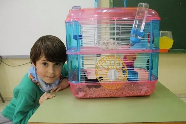 Maestra de Primaria: Jerry, el Hámster de Ignacio Maestra de Primaria: Jerry, el Hámster de Ignacio