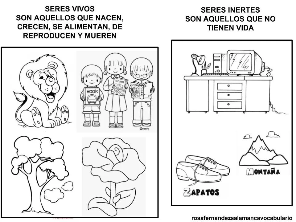 Maestra de Primaria: Seres vivos y Seres inertes. Características de los seres  vivos.