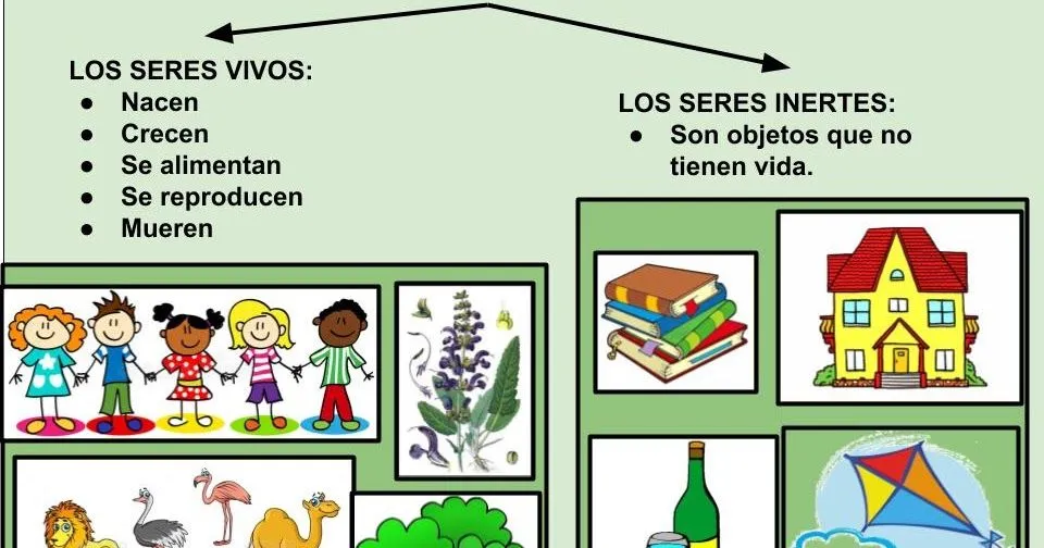 Maestra de Primaria: Seres vivos y Seres inertes. Características de los  seres vivos.