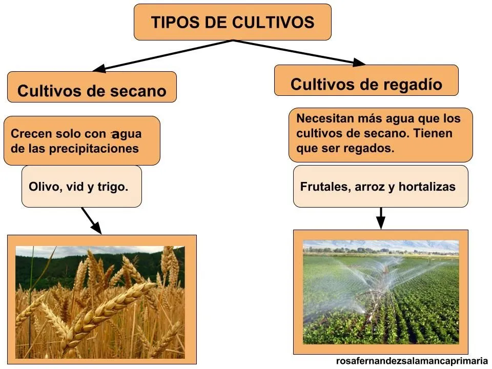 Maestra de Primaria: El trabajo. Sector primario, secundario y terciario. Maestra de Primaria: El trabajo. Sector primario, secundario y terciario.