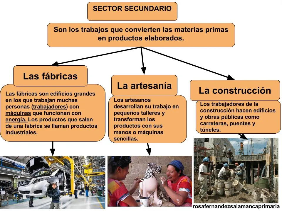 Maestra de Primaria: El trabajo. Sector primario, secundario y terciario.