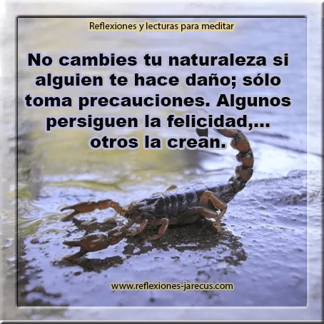 Un maestro y un escorpión | Reflexiones y Lecturas para Meditar Un maestro y un escorpión | Reflexiones y Lecturas para Meditar
