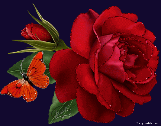 MAGDALENA: Rosas rojas