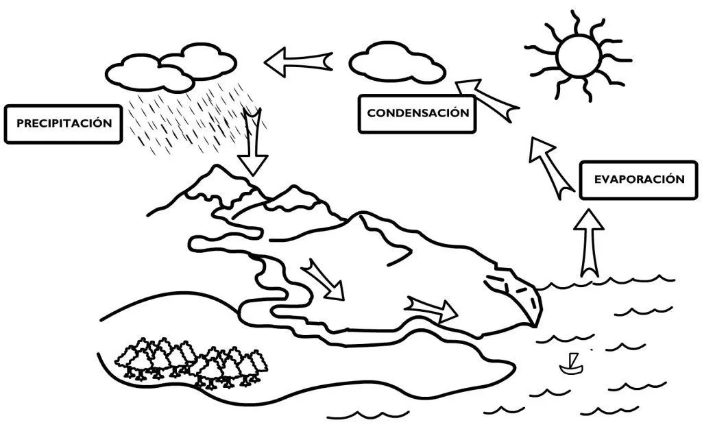 Magnifico Cuaderno Interactivo Ciclo del Agua | Ciclo del agua, Ciclo del agua dibujo, Ciclo hidrologico Magnifico Cuaderno Interactivo Ciclo del Agua | Ciclo del agua, Ciclo del agua dibujo, Ciclo hidrologico