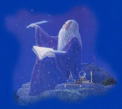 El bosque de las brujas, hadas y magos : El mundo de los magos