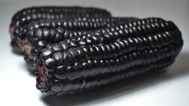 Propiedades saludables impulsan el maíz morado | Peru21. Propiedades saludables impulsan el maíz morado | Peru21.
