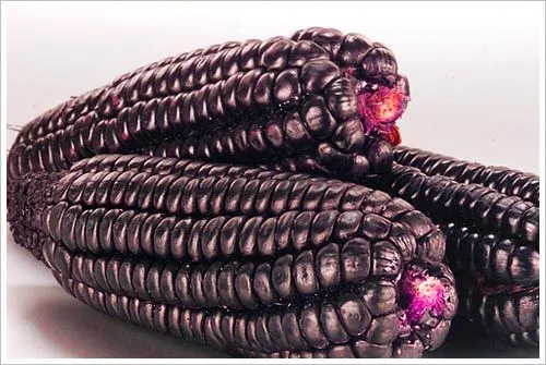 Maiz morado en dibujos - Imagui