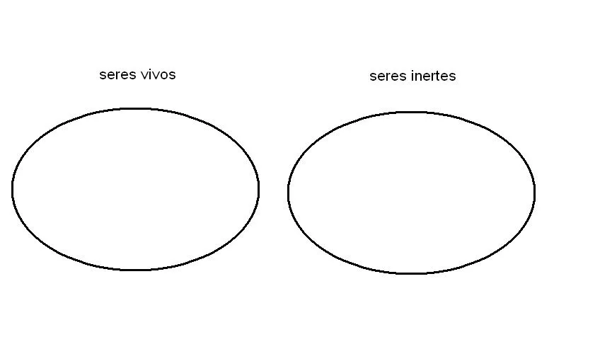 maleja: los seres vivos y su medio