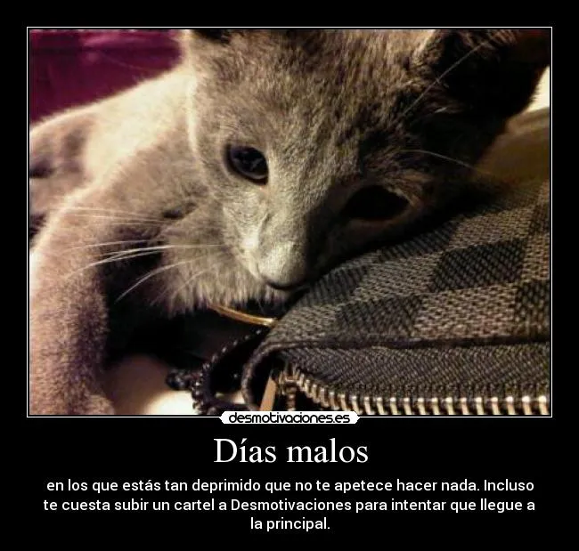 Días malos | Desmotivaciones