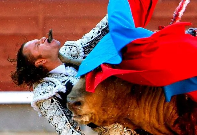 Maltrato animal | Visitaxela's Weblog