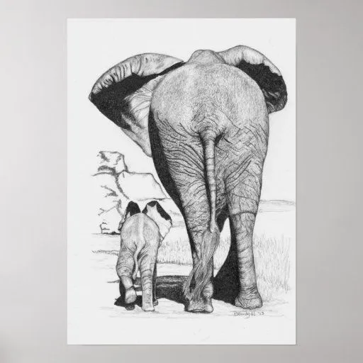 Dibujos a lapiz de elefantes - Imagui