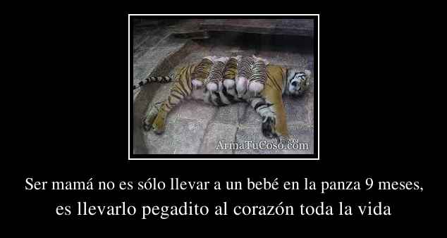 Frases para bebé en la panza - Imagui