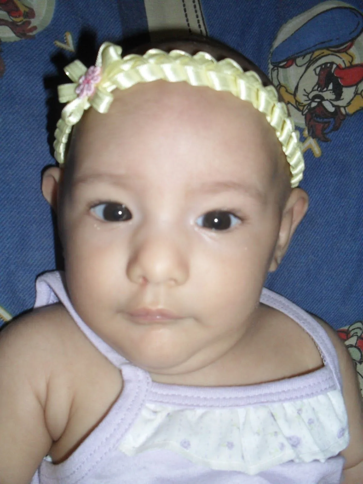 Mamánualidades: Vinchas - Diademas para Bebes Mamánualidades: Vinchas - Diademas para Bebes