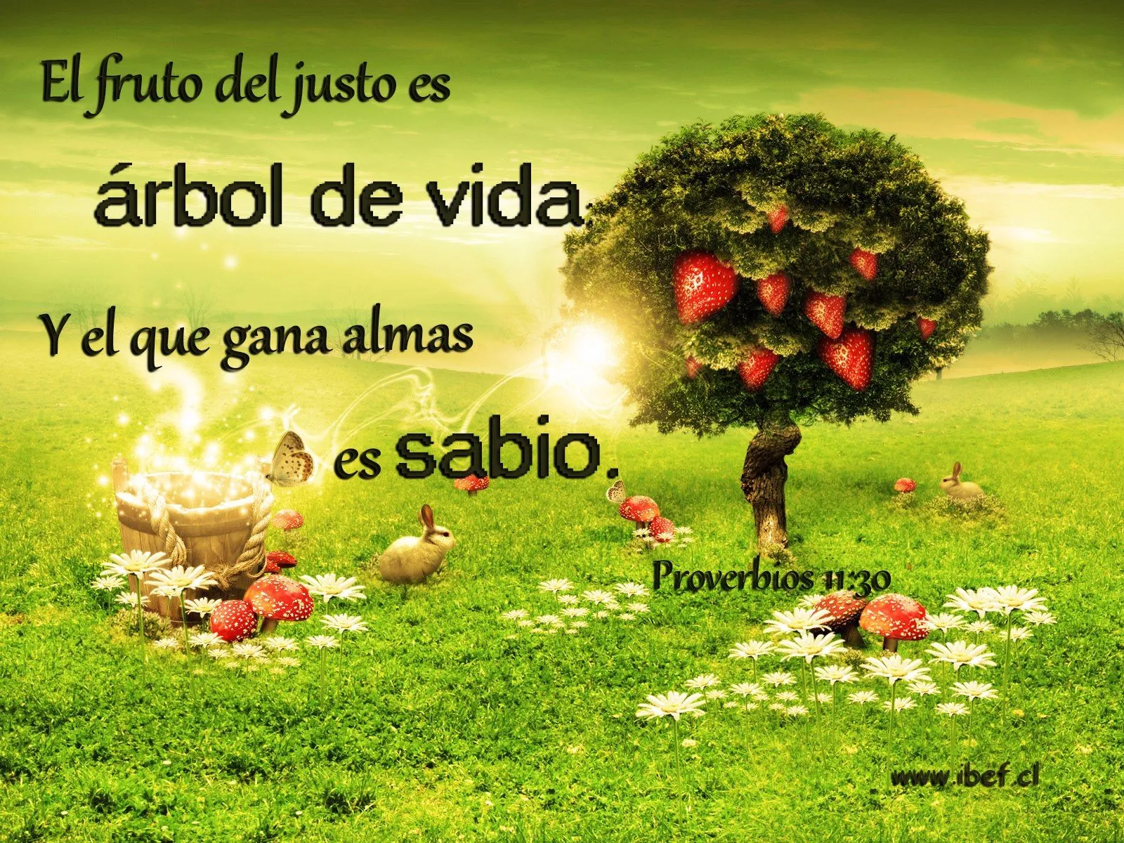 Mamás, papás e hijos que oran llenos de SABIDURIA DE DIOS ... Mamás, papás e hijos que oran llenos de SABIDURIA DE DIOS ...