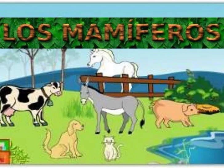 Mamiferos