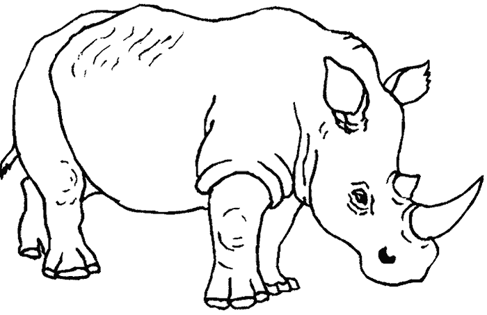 Mamiferos para colorear e imprimir - Imagui Mamiferos para colorear e imprimir - Imagui