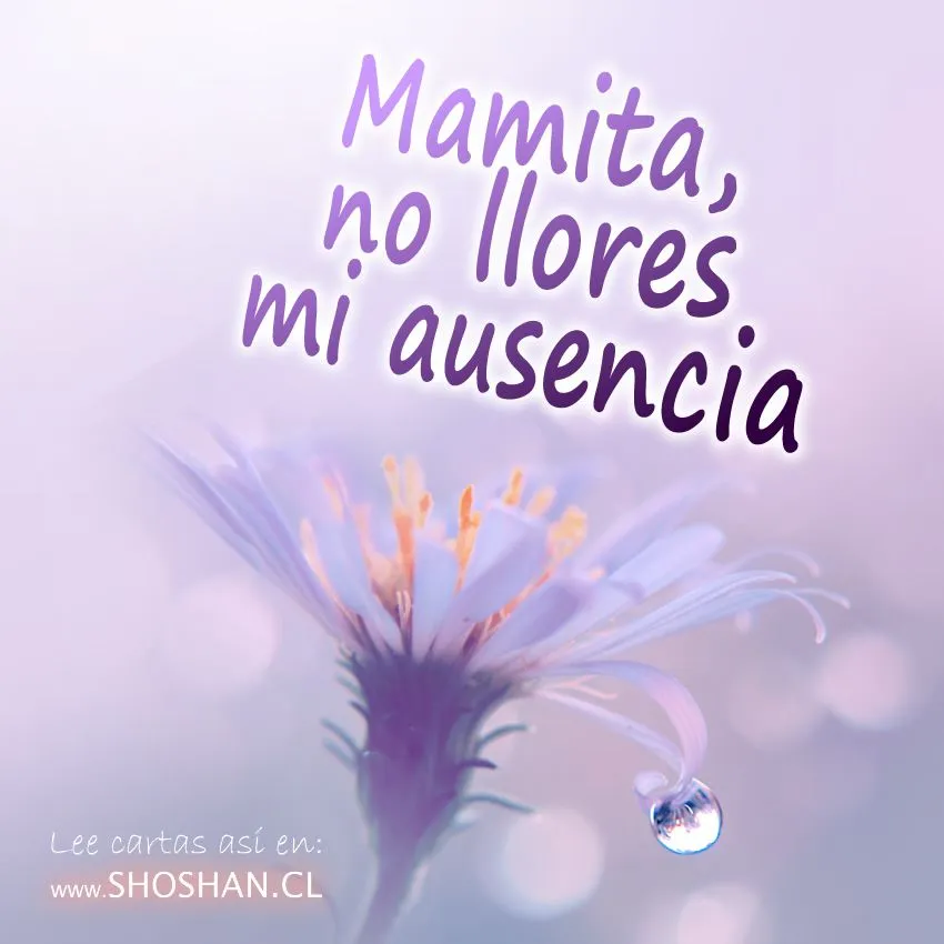 mamita_no_llores_mi_ausencia2.jpg