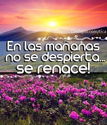 En las mañanas no se despierta... se renace! #renacer #cristiana ... En las mañanas no se despierta... se renace! #renacer #cristiana ...