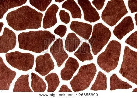 Manchas de la jirafa para el fondo Fotos stock e Imágenes stock ... Manchas de la jirafa para el fondo Fotos stock e Imágenes stock ...