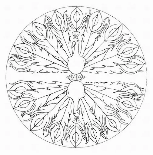 Mandala Para Pintar El Pavo Real MEMES Pictures