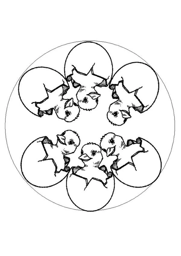 Mandala Pollitos chistosos - Dibujos de MANDALA PASCUA para colorear
