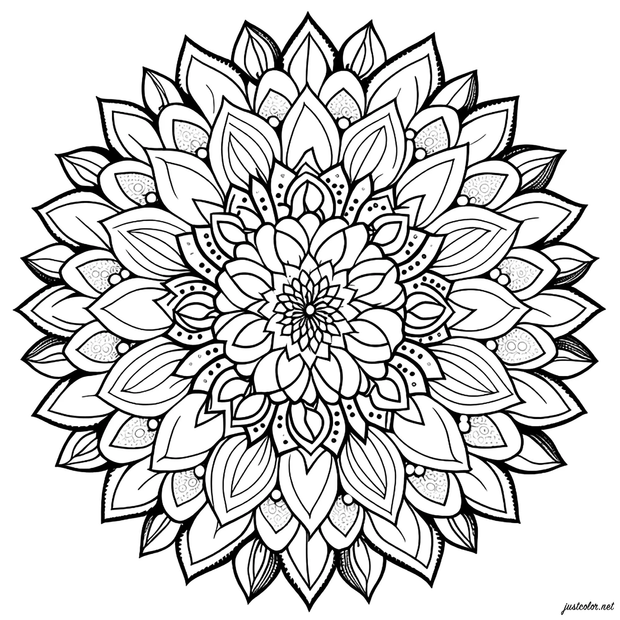 Mandala sencillo con pétalos - Mandalas - Colorear para Adultos Mandala sencillo con pétalos - Mandalas - Colorear para Adultos